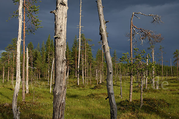 Finnland (Finland)