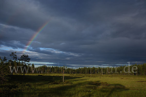 Finnland (Finland)