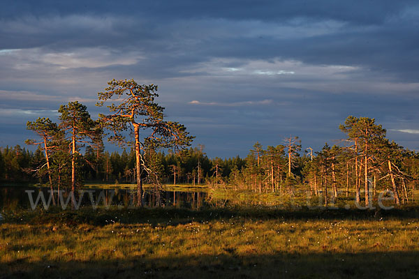 Finnland (Finland)