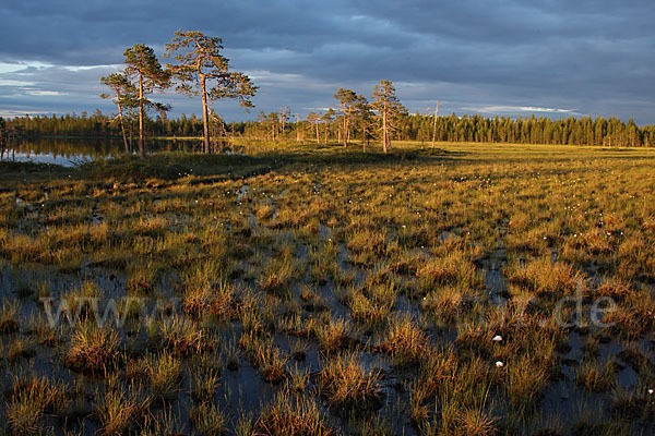 Finnland (Finland)