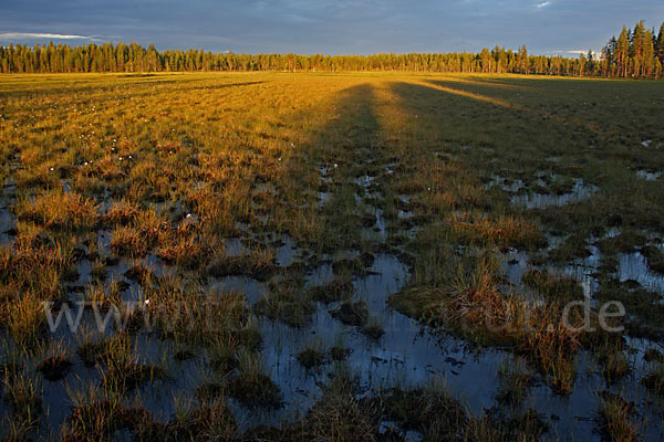 Finnland (Finland)