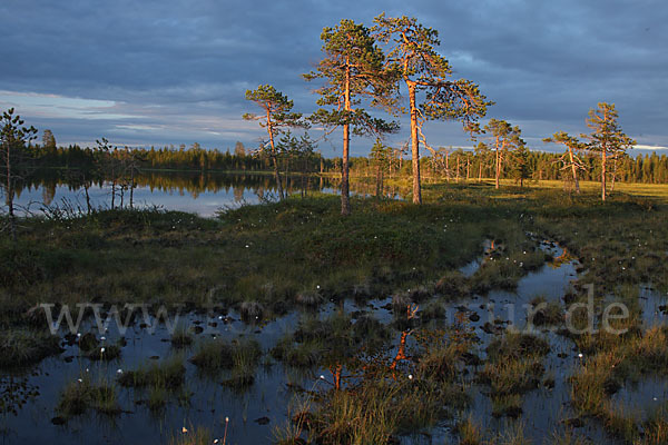 Finnland (Finland)