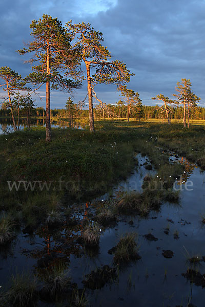 Finnland (Finland)