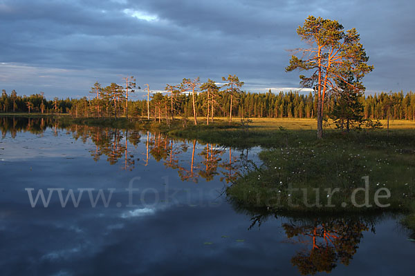 Finnland (Finland)