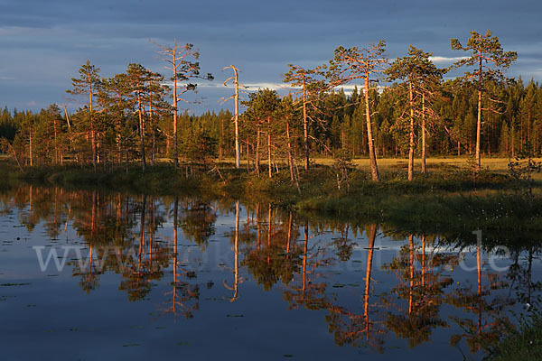 Finnland (Finland)