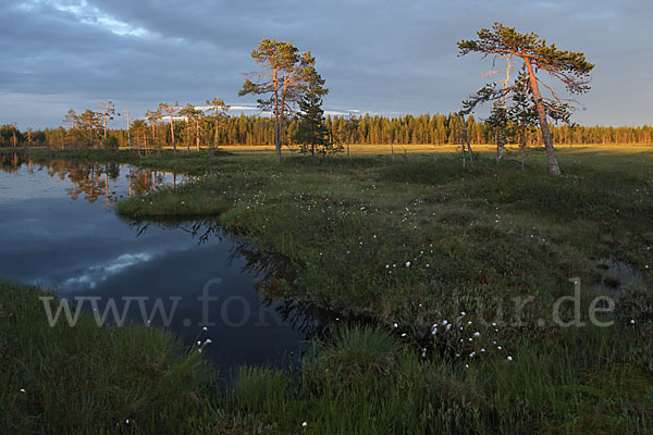 Finnland (Finland)