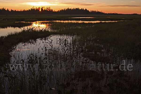 Finnland (Finland)