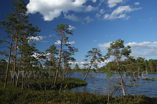 Finnland (Finland)