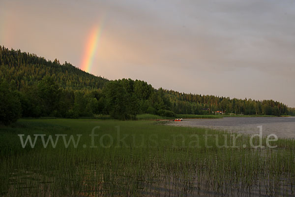 Finnland (Finland)