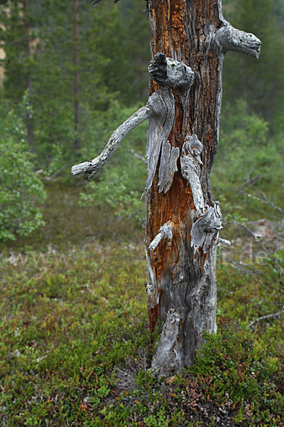 Finnland (Finland)