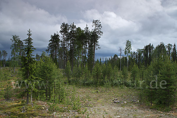 Finnland (Finland)