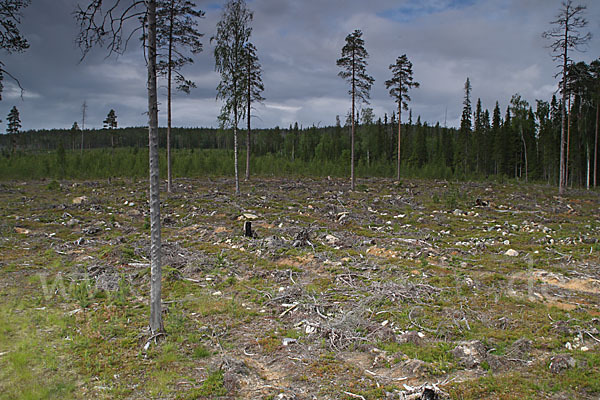 Finnland (Finland)