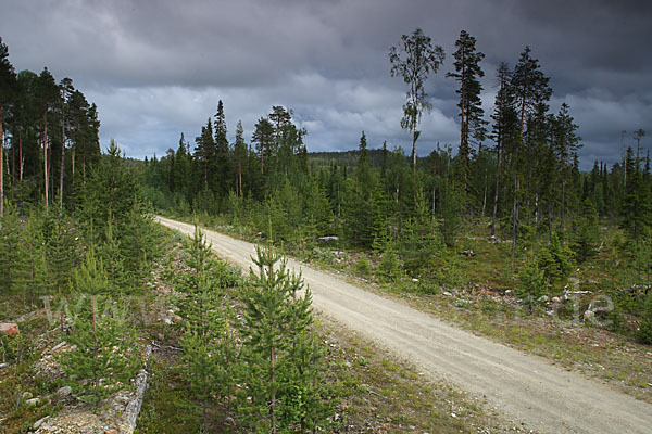 Finnland (Finland)