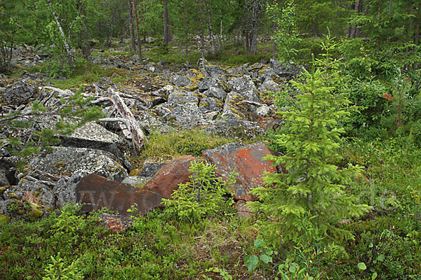 Finnland (Finland)