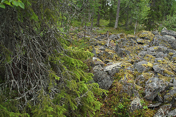 Finnland (Finland)