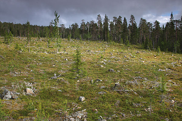 Finnland (Finland)