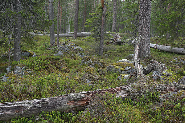 Finnland (Finland)