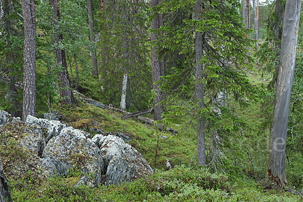 Finnland (Finland)