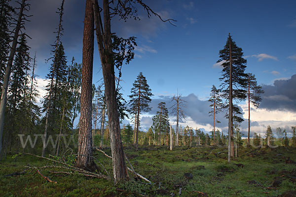 Finnland (Finland)