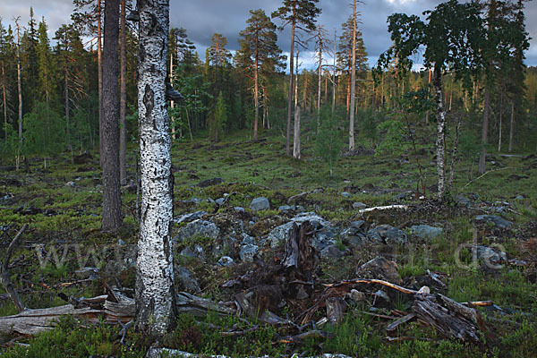 Finnland (Finland)