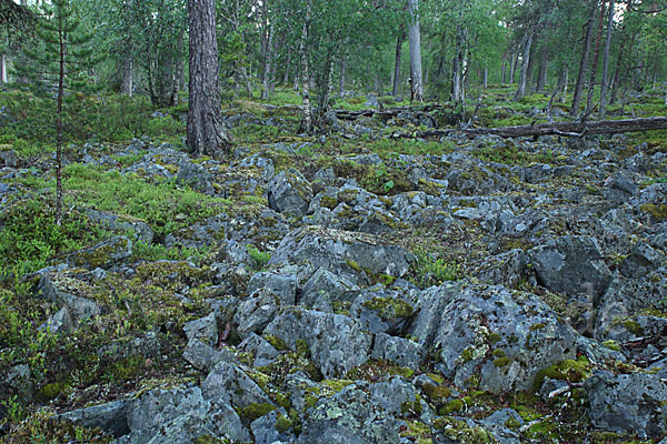 Finnland (Finland)