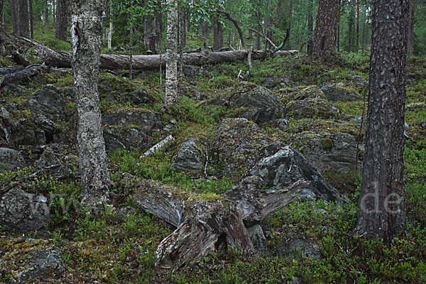 Finnland (Finland)