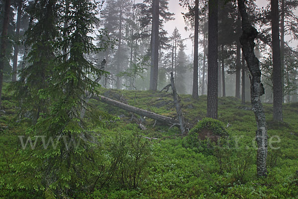 Finnland (Finland)