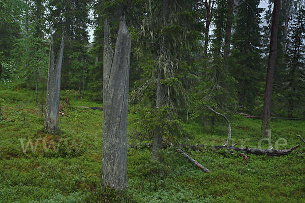 Finnland (Finland)