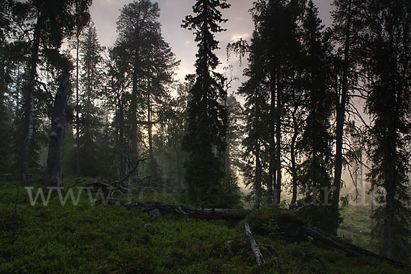 Finnland (Finland)