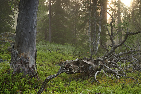 Finnland (Finland)