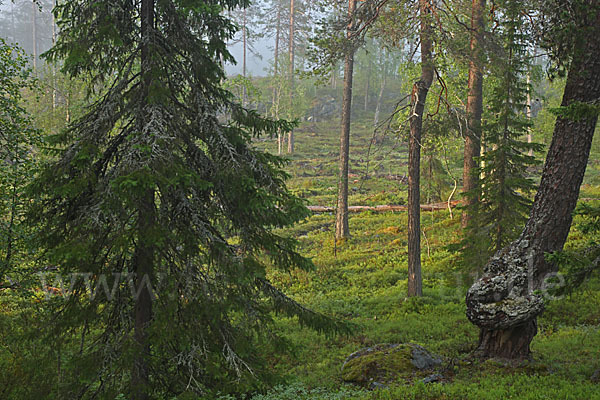 Finnland (Finland)