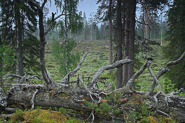 Finnland (Finland)