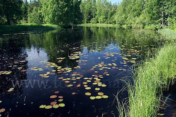 Finnland (Finland)