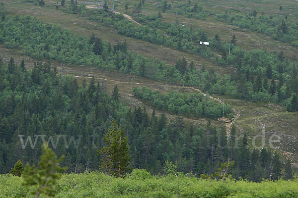 Finnland (Finland)