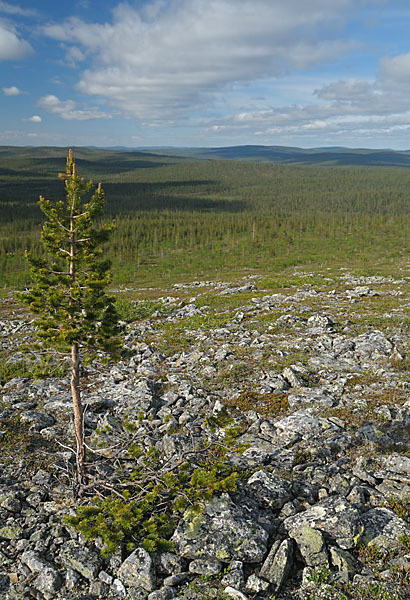 Finnland (Finland)