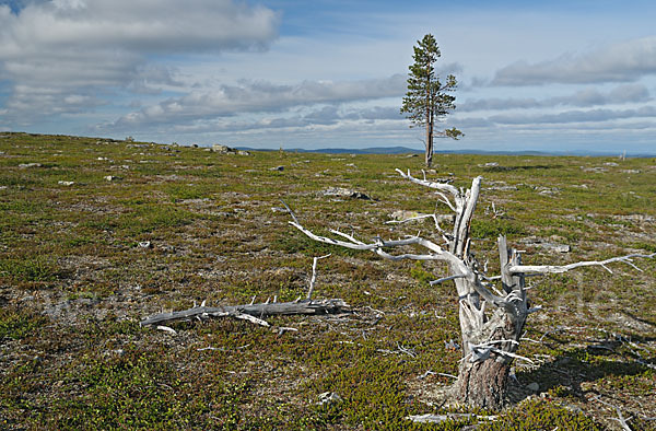 Finnland (Finland)