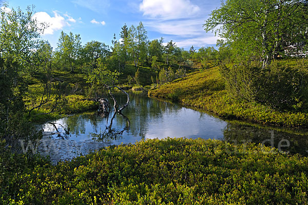 Finnland (Finland)