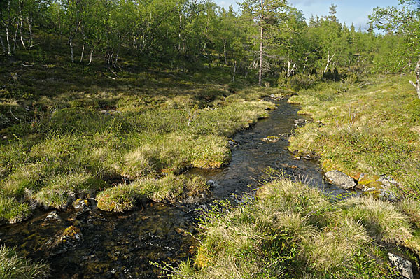 Finnland (Finland)