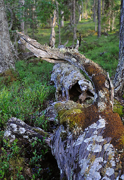 Finnland (Finland)