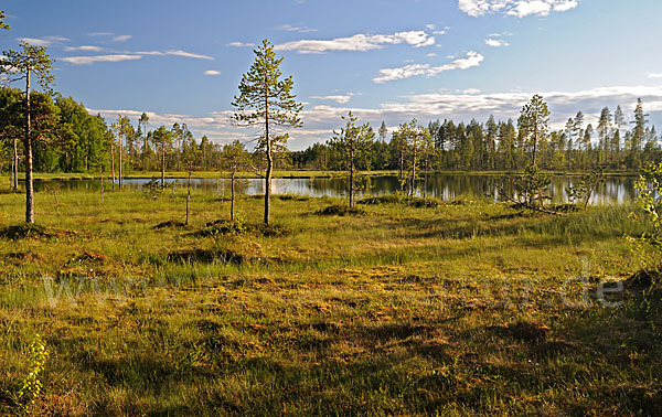 Finnland (Finland)