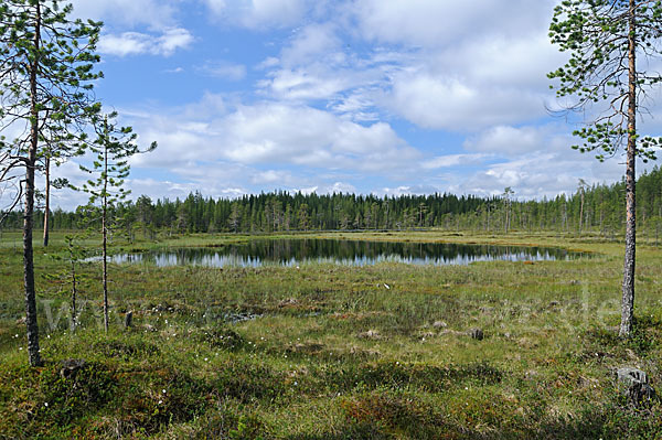 Finnland (Finland)