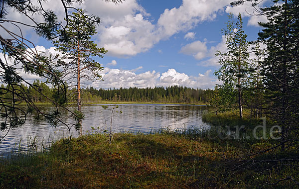 Finnland (Finland)