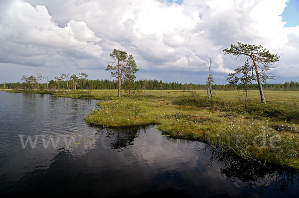 Finnland (Finland)