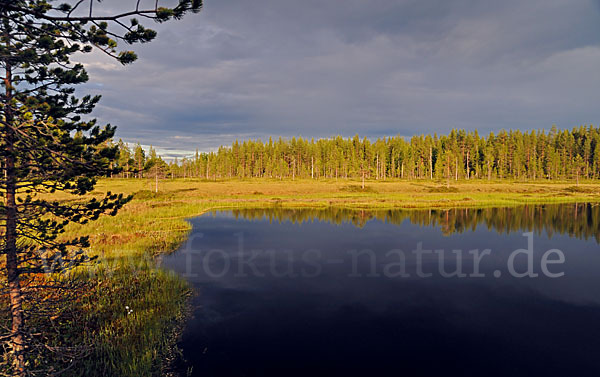 Finnland (Finland)