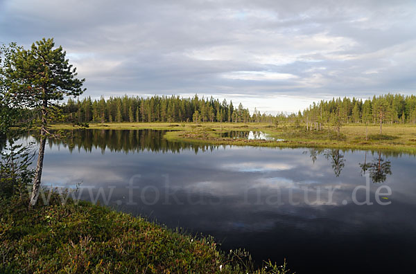 Finnland (Finland)