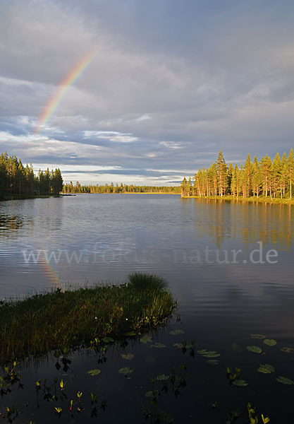 Finnland (Finland)