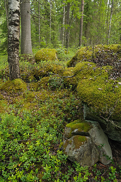 Finnland (Finland)