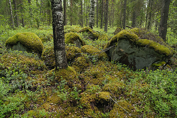 Finnland (Finland)