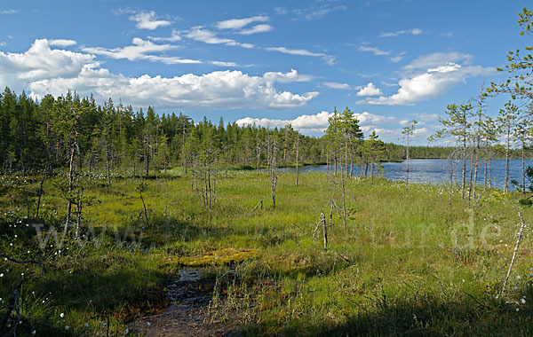 Finnland (Finland)