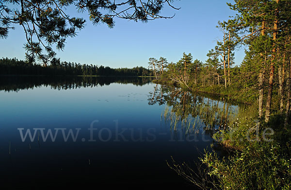 Finnland (Finland)